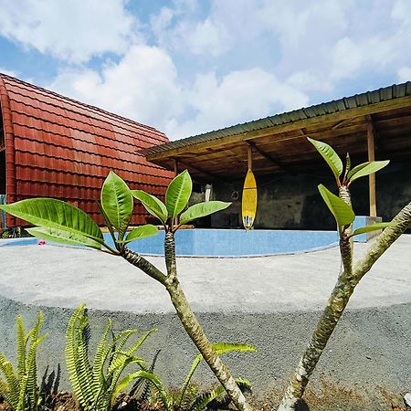 Raturinjani Homestay Selong エクステリア 写真