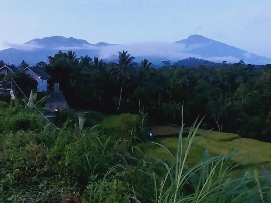 Raturinjani Homestay Selong エクステリア 写真