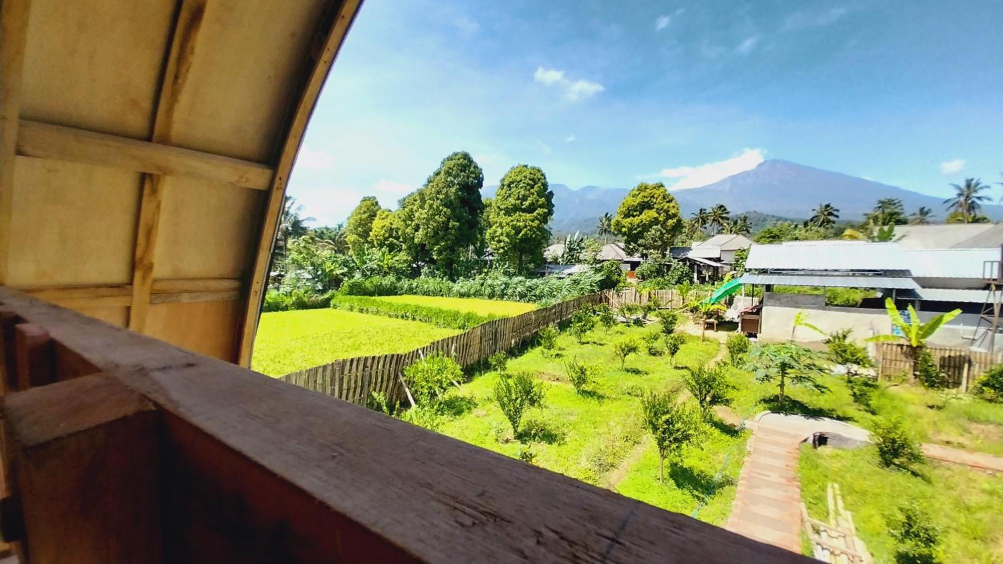 Raturinjani Homestay Selong エクステリア 写真