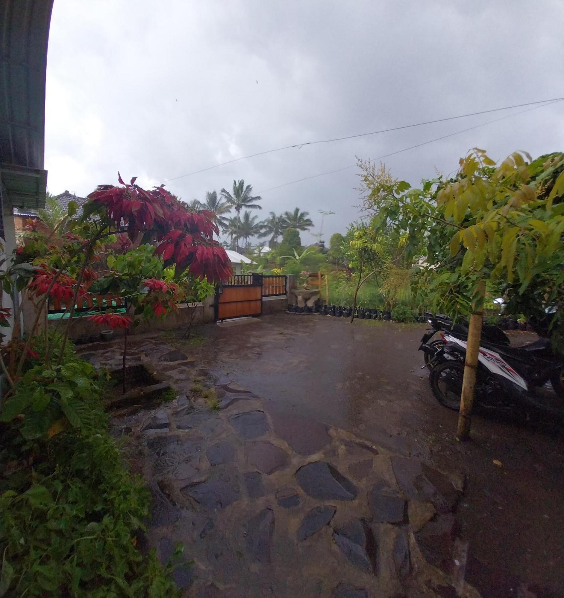 Raturinjani Homestay Selong エクステリア 写真