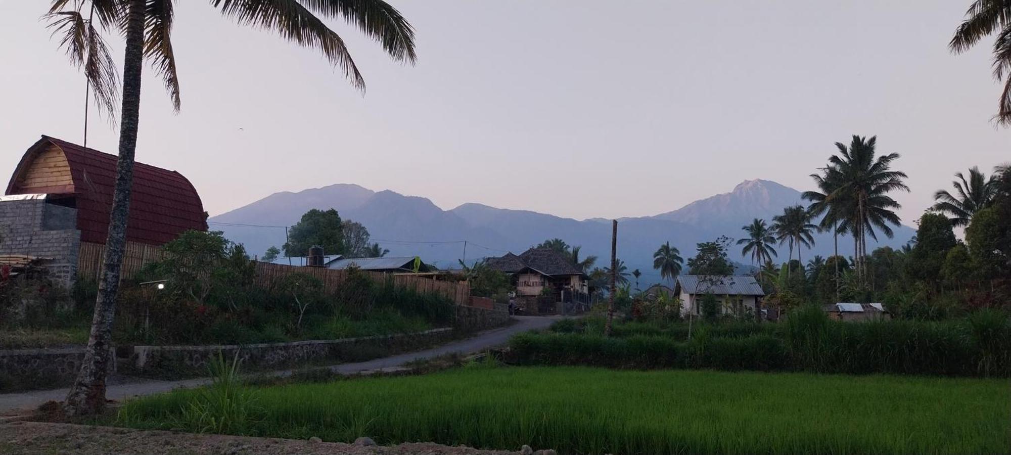 Raturinjani Homestay Selong エクステリア 写真