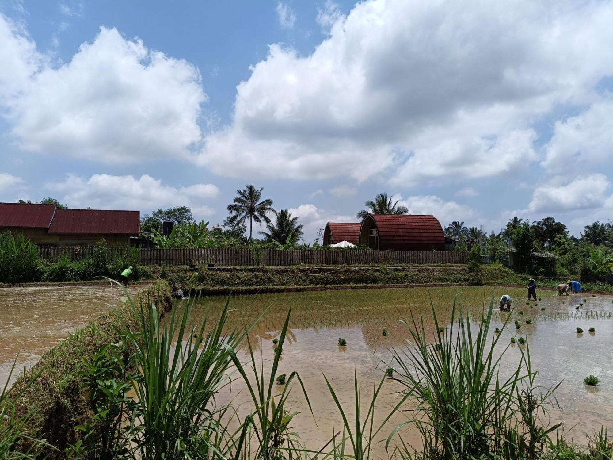 Raturinjani Homestay Selong エクステリア 写真