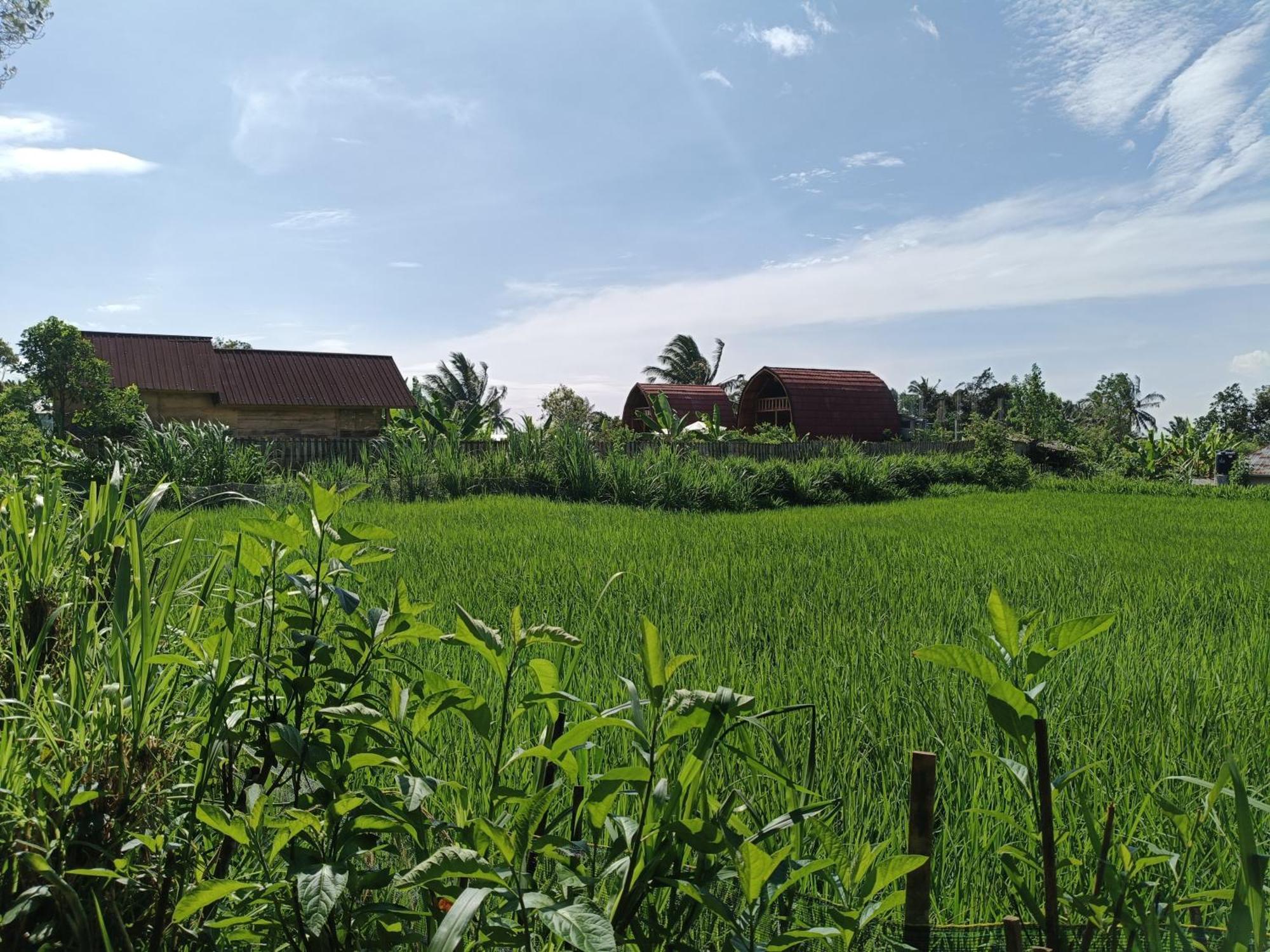 Raturinjani Homestay Selong 部屋 写真