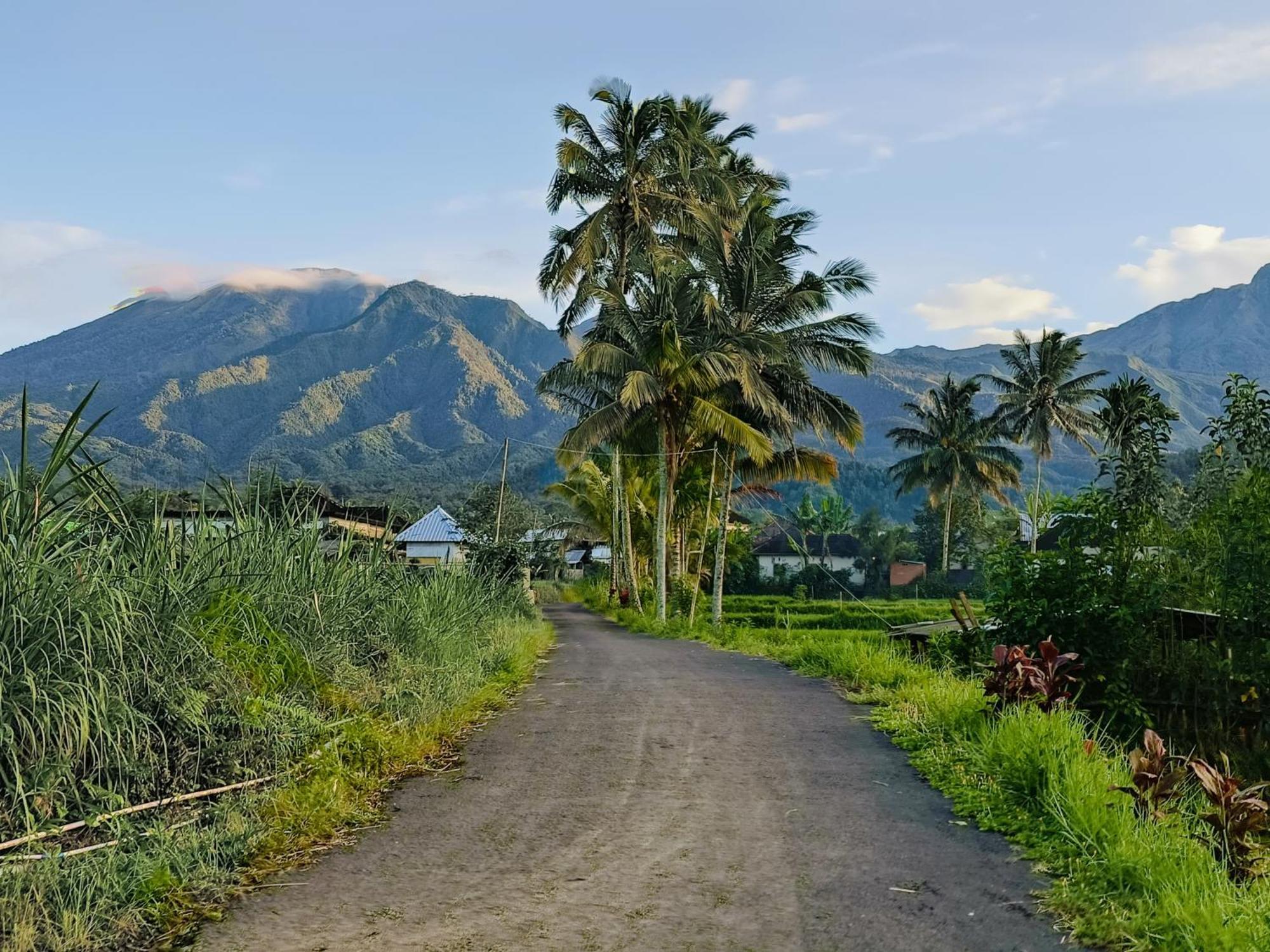 Raturinjani Homestay Selong エクステリア 写真